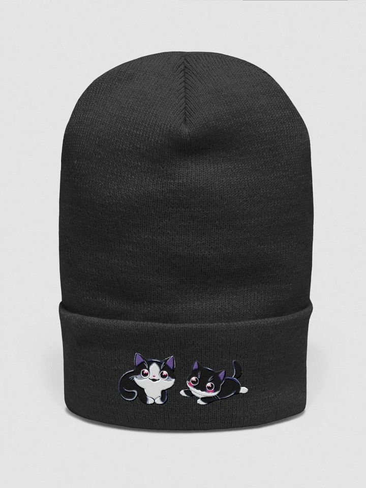 Salem and Sabrina! product image (1)