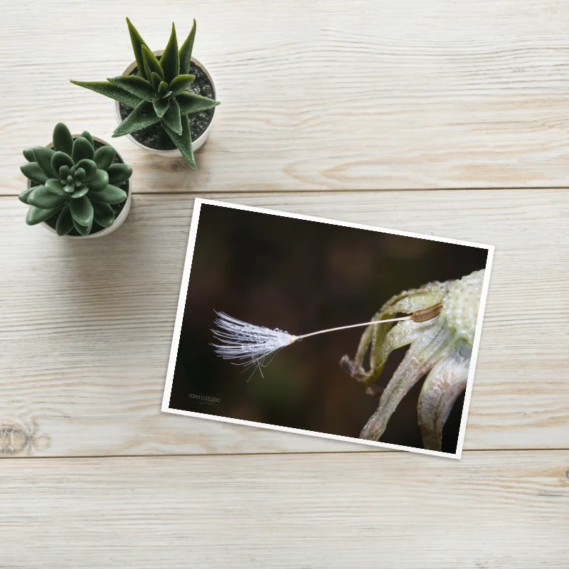 One Last Wish Greeting Card product image (1)