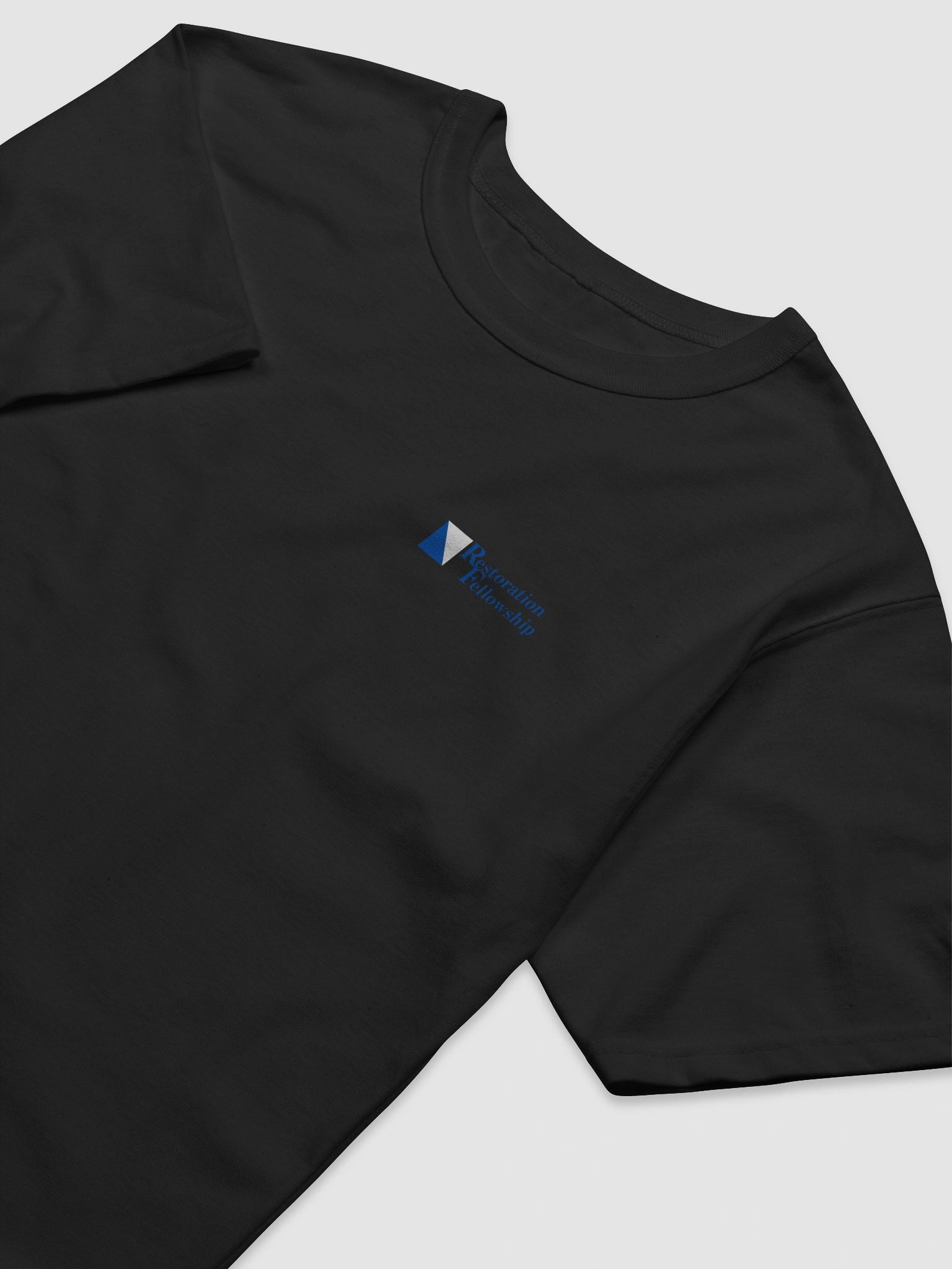 RF One God, One Person Champion Heavyweight Relaxed-Fit Tee product image (3)
