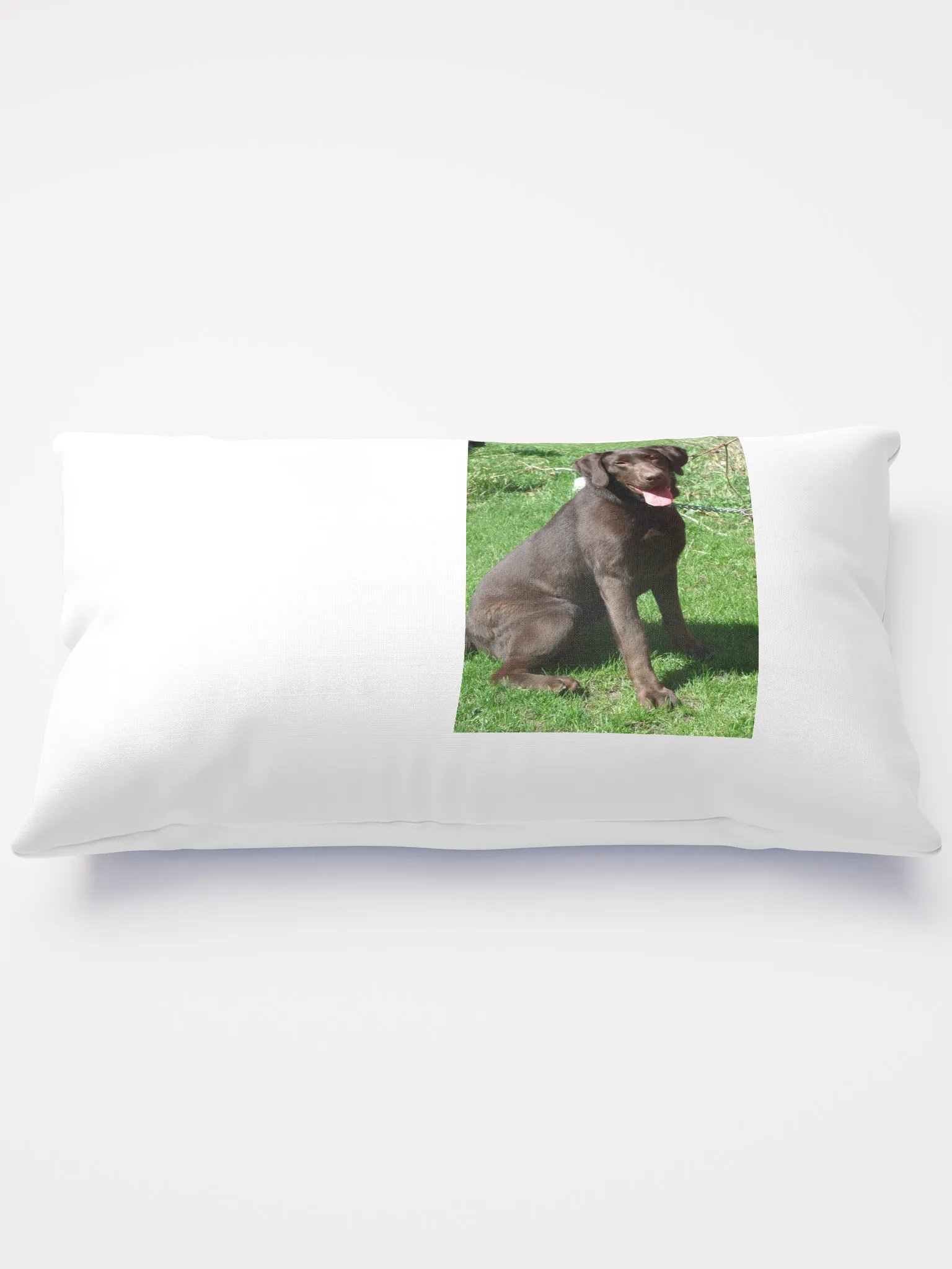 farm dog product image (2)