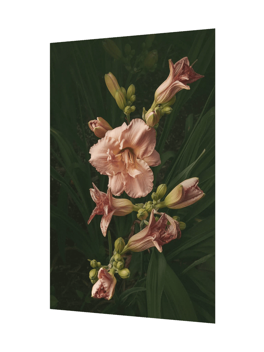 Cascasde of Daylilies product image (3)