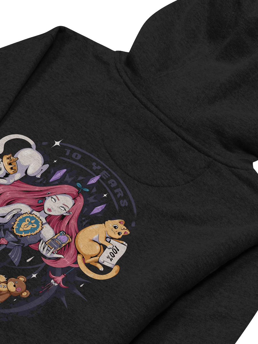 Anniversary Hoodie (Black) product image (6)