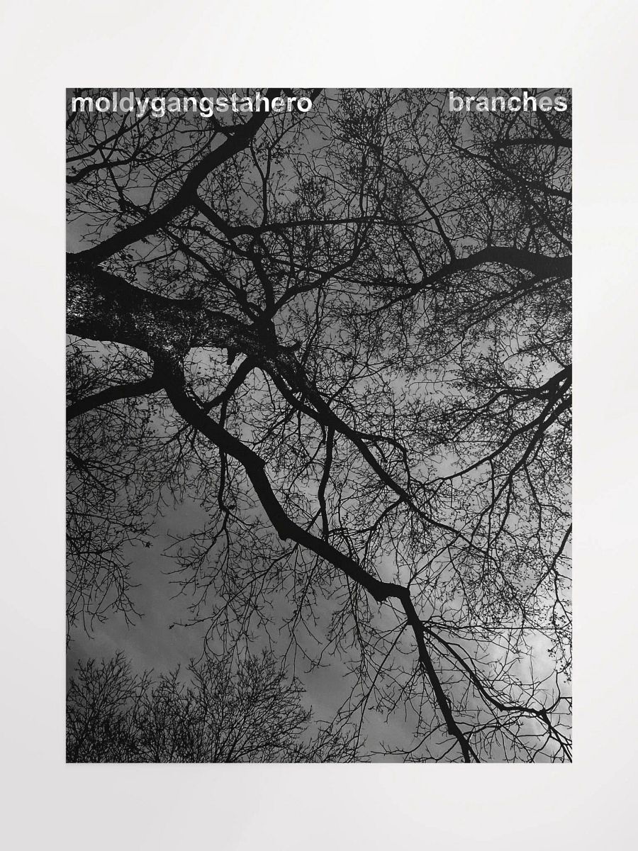 Branches Poster product image (1)