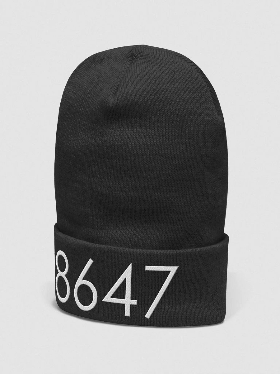 8647 Beanie product image (5)