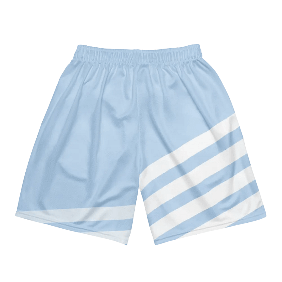 Striped Skyline Recycled Mesh Shorts product image (5)