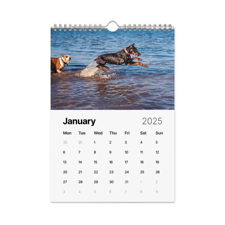 The first year - 2025 Calendar product image (2)