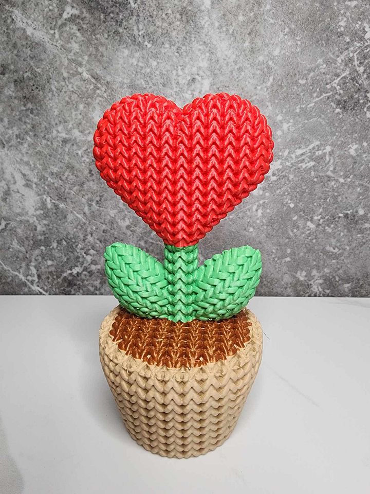 "Knitted" Heart Plant in a Pot product image (2)