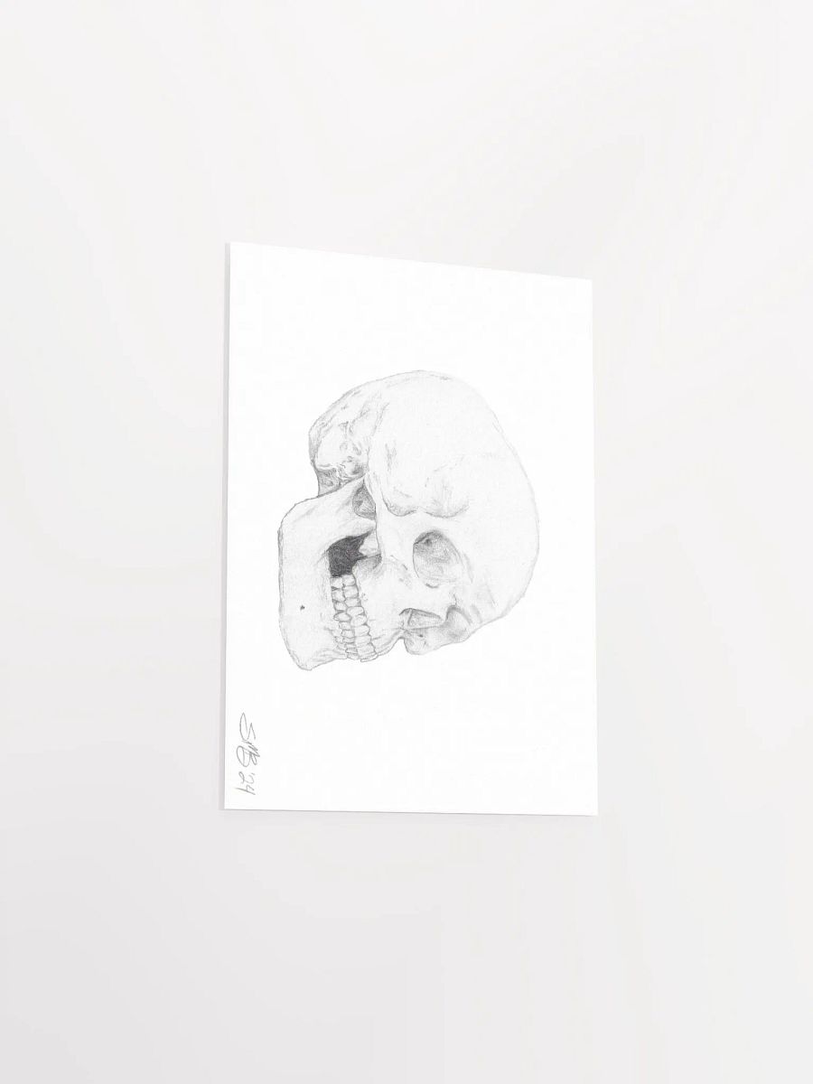 Skull Wall Art product image (5)