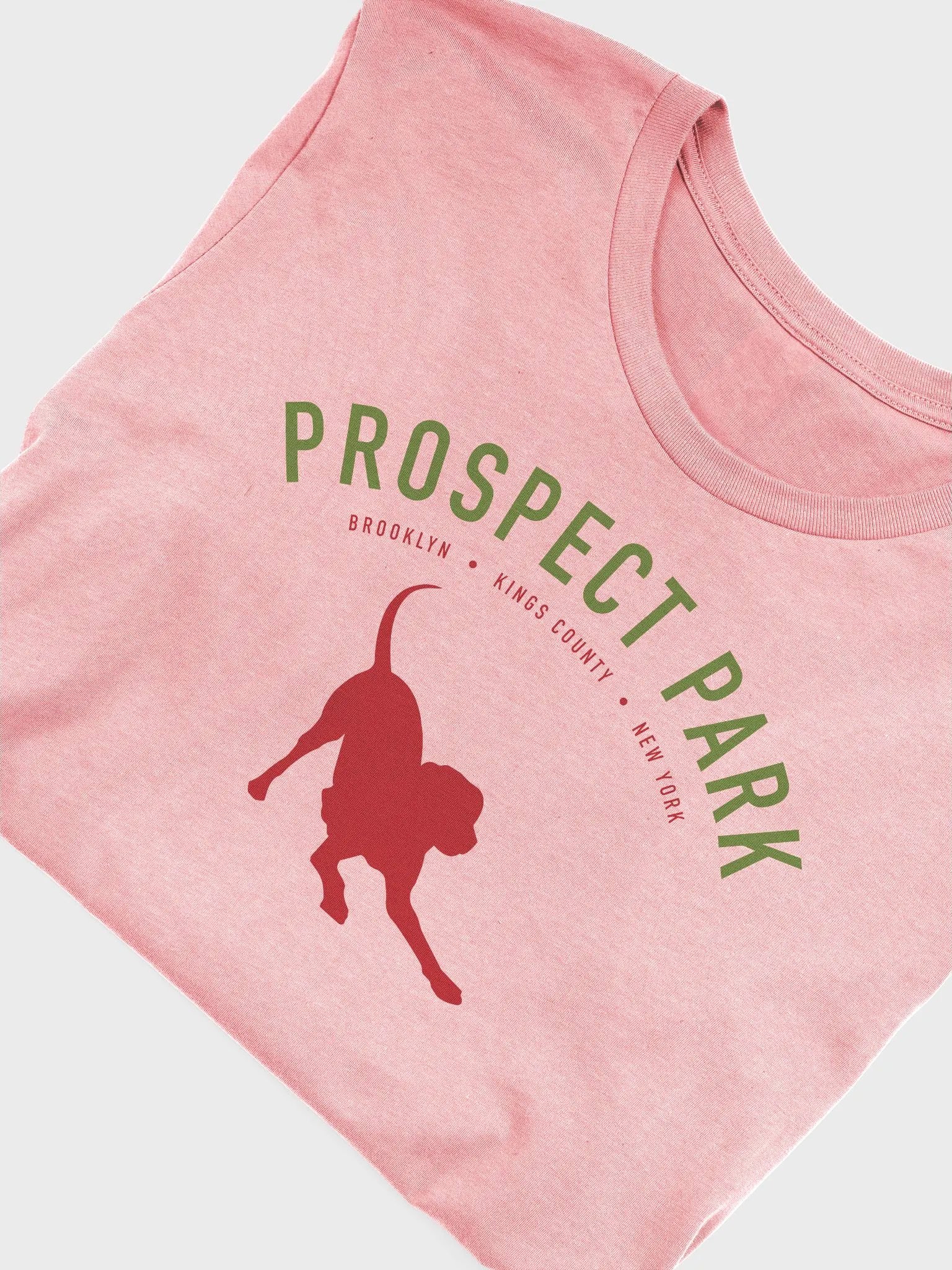 Prospect Park Pink Tee product image (5)