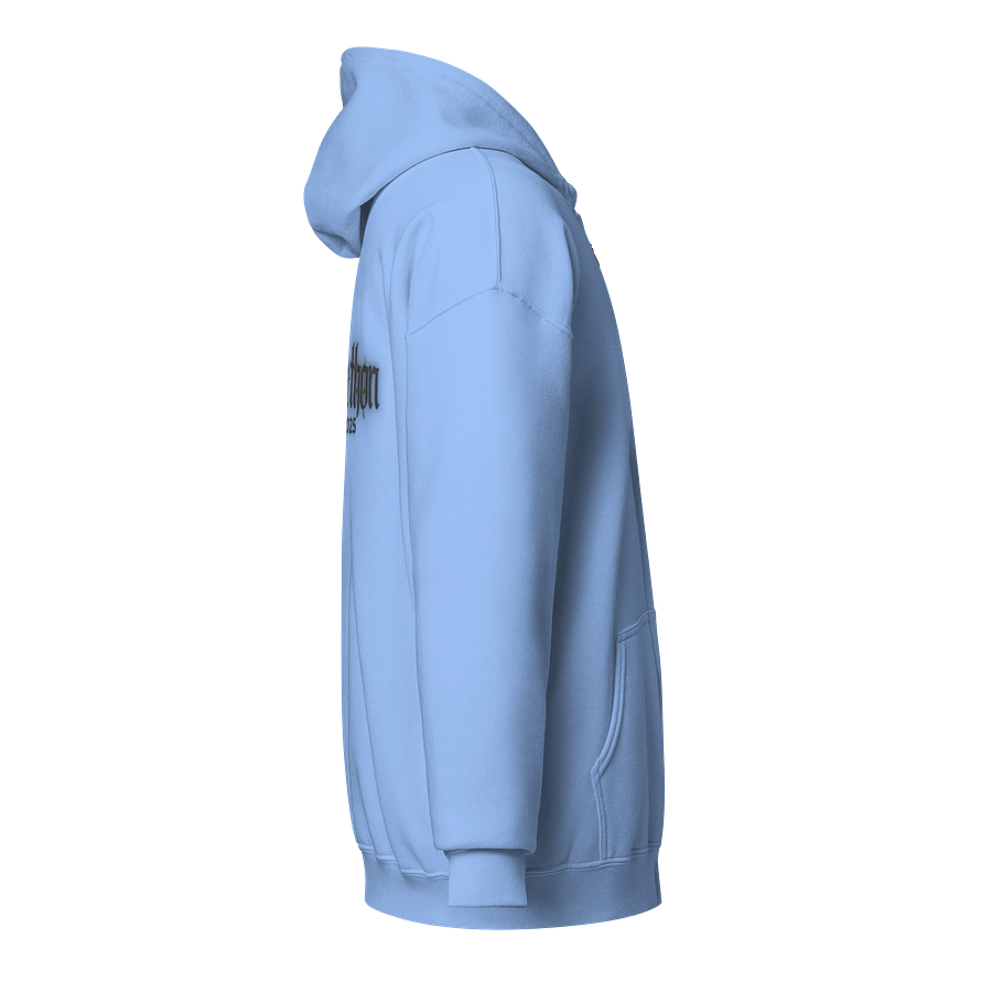 Foreverathon Zip Hoodie - Black product image (4)