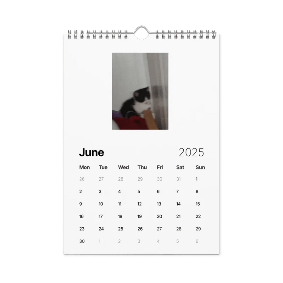 50 Shades of Haru - 2025 Wall Calendar product image (8)