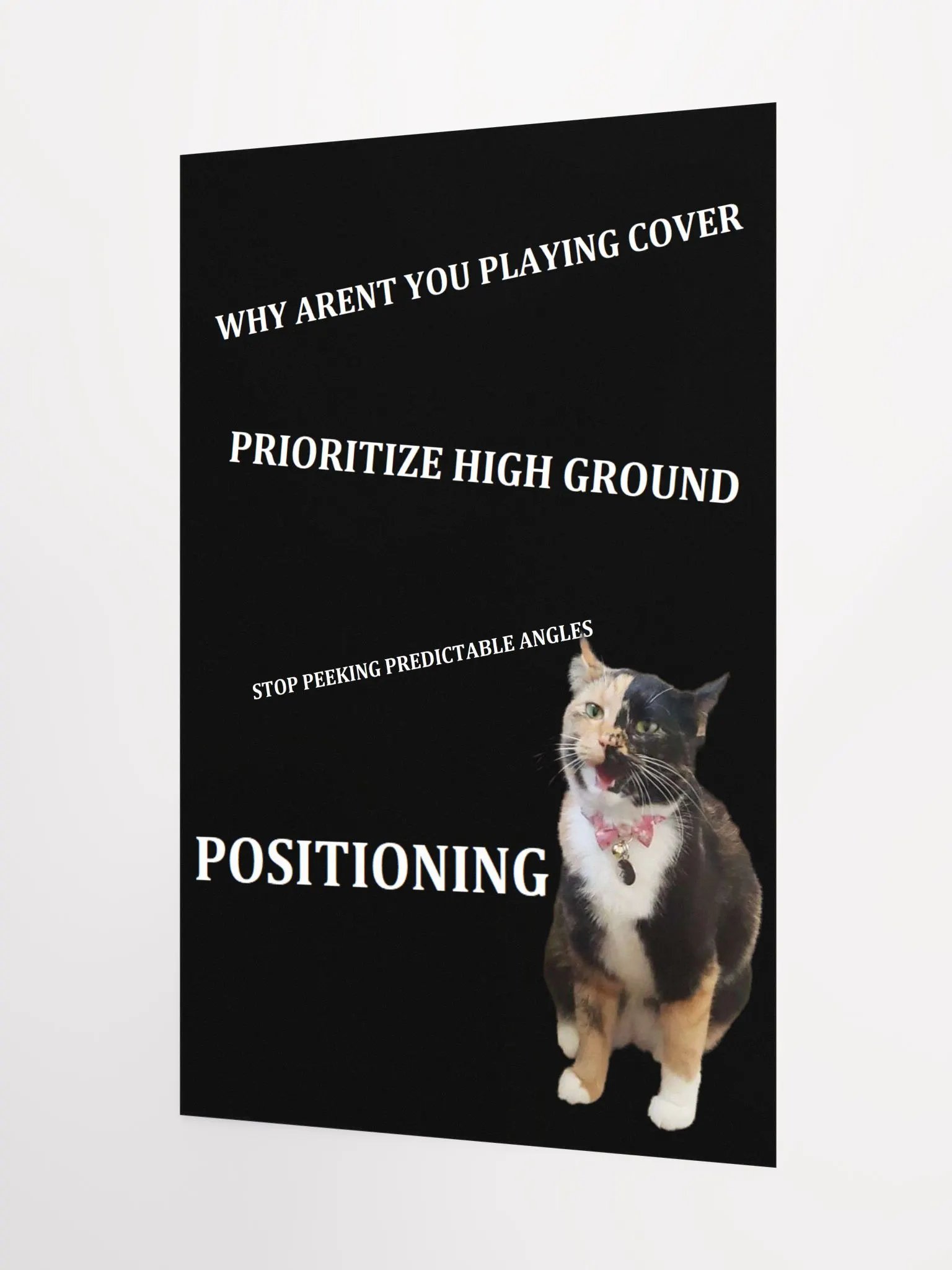Tips from Coach Lyra Poster product image (9)