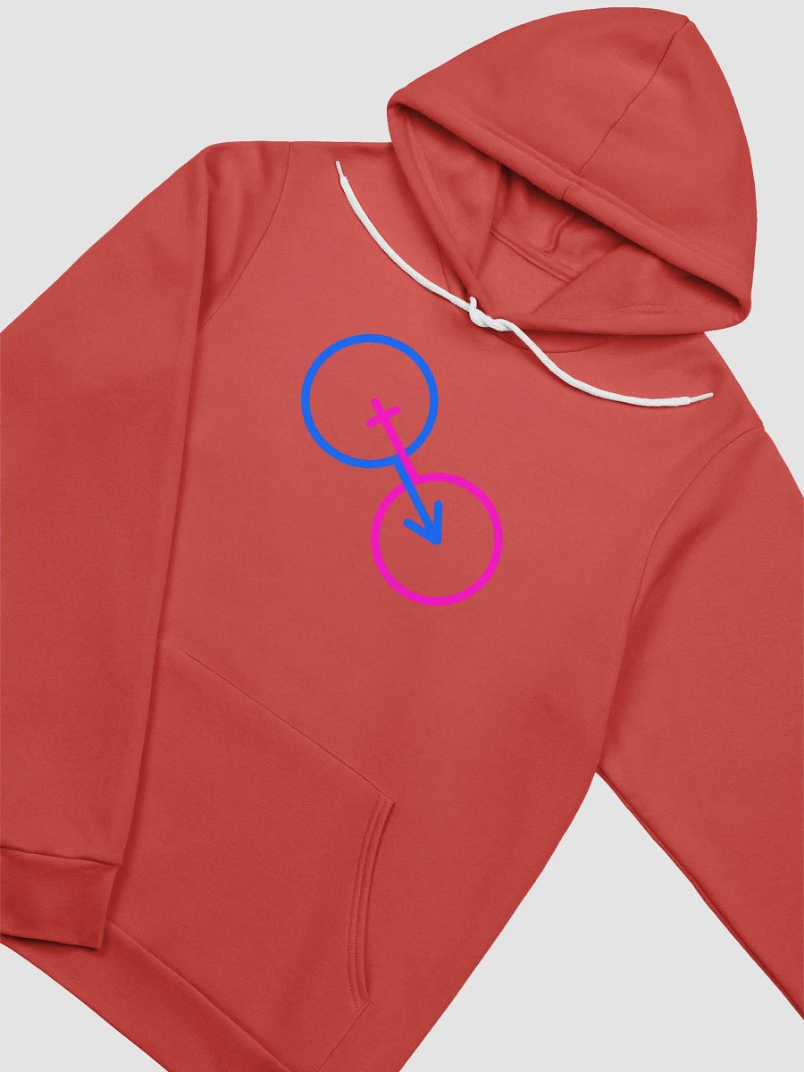 Interconnected Male & Female Unisex Hoodie product image (3)
