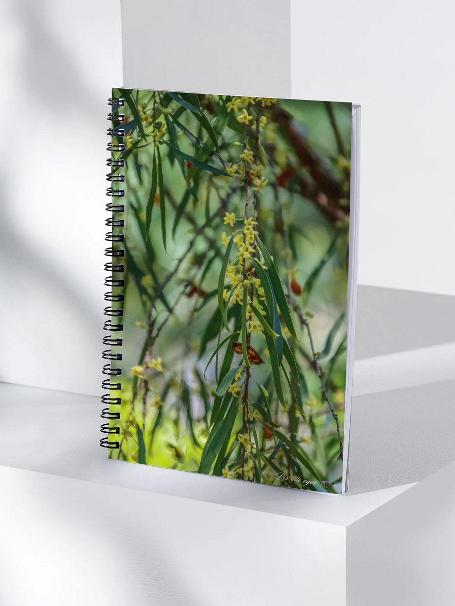 📓 Notebook Collection PURE – Jardin du Rayol – Le Berrigan Pleureur product image (4)