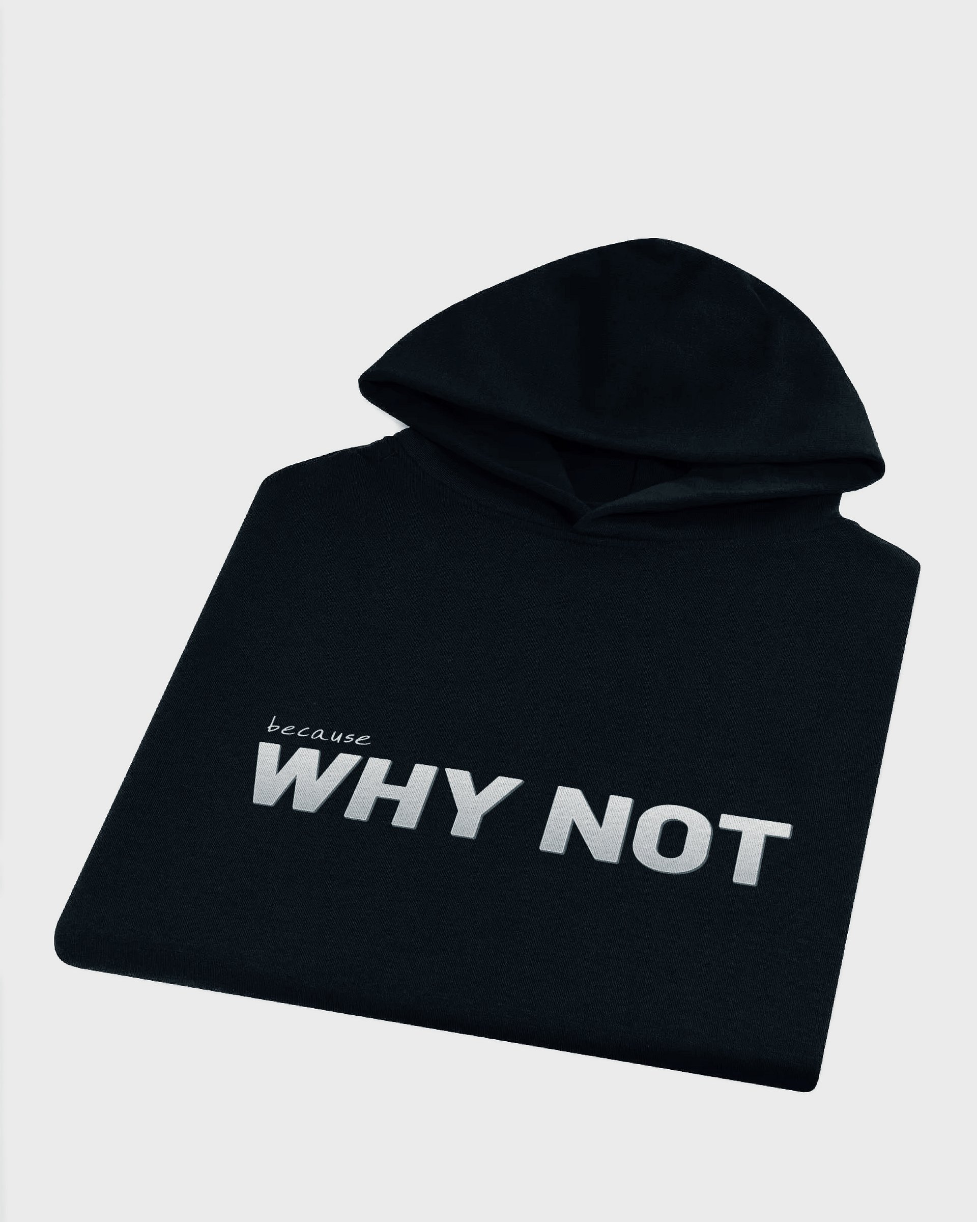 WHY NOT Hoodie product image (6)
