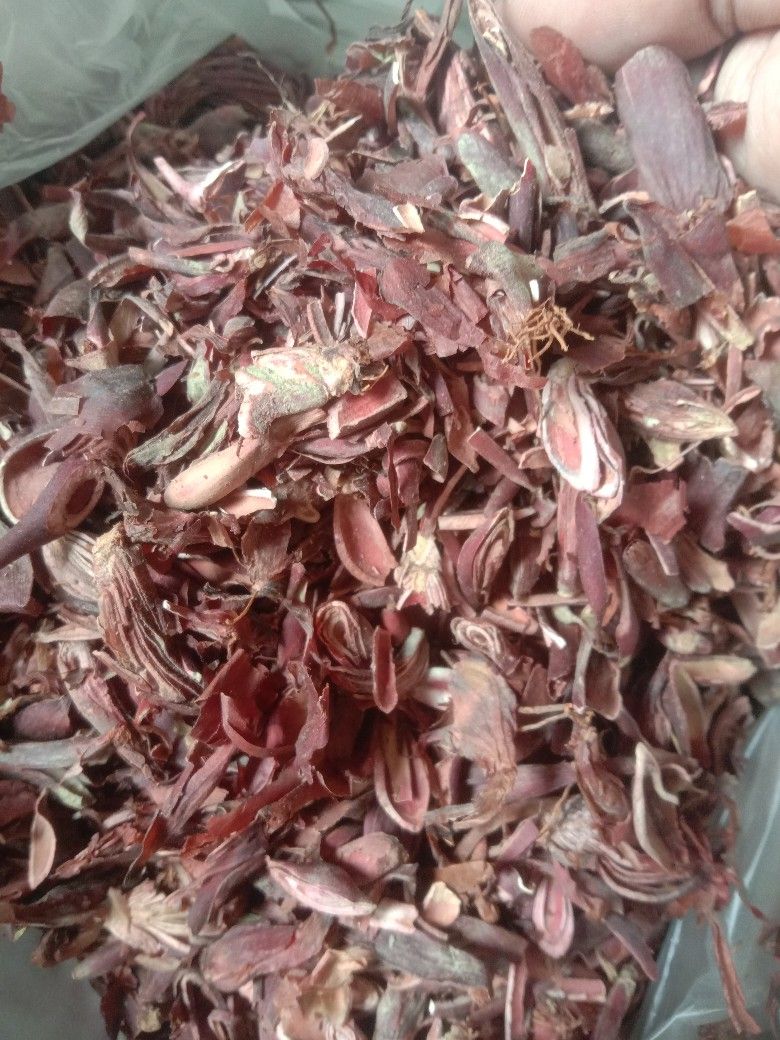 Bawang Dayak kering 500 gram product image (1)
