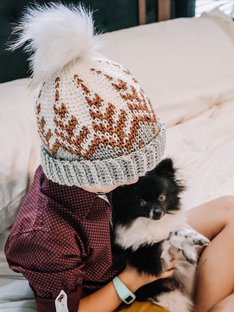 Pine Fair Isle Crochet Hat Pattern (4 Sizes) product image (3)