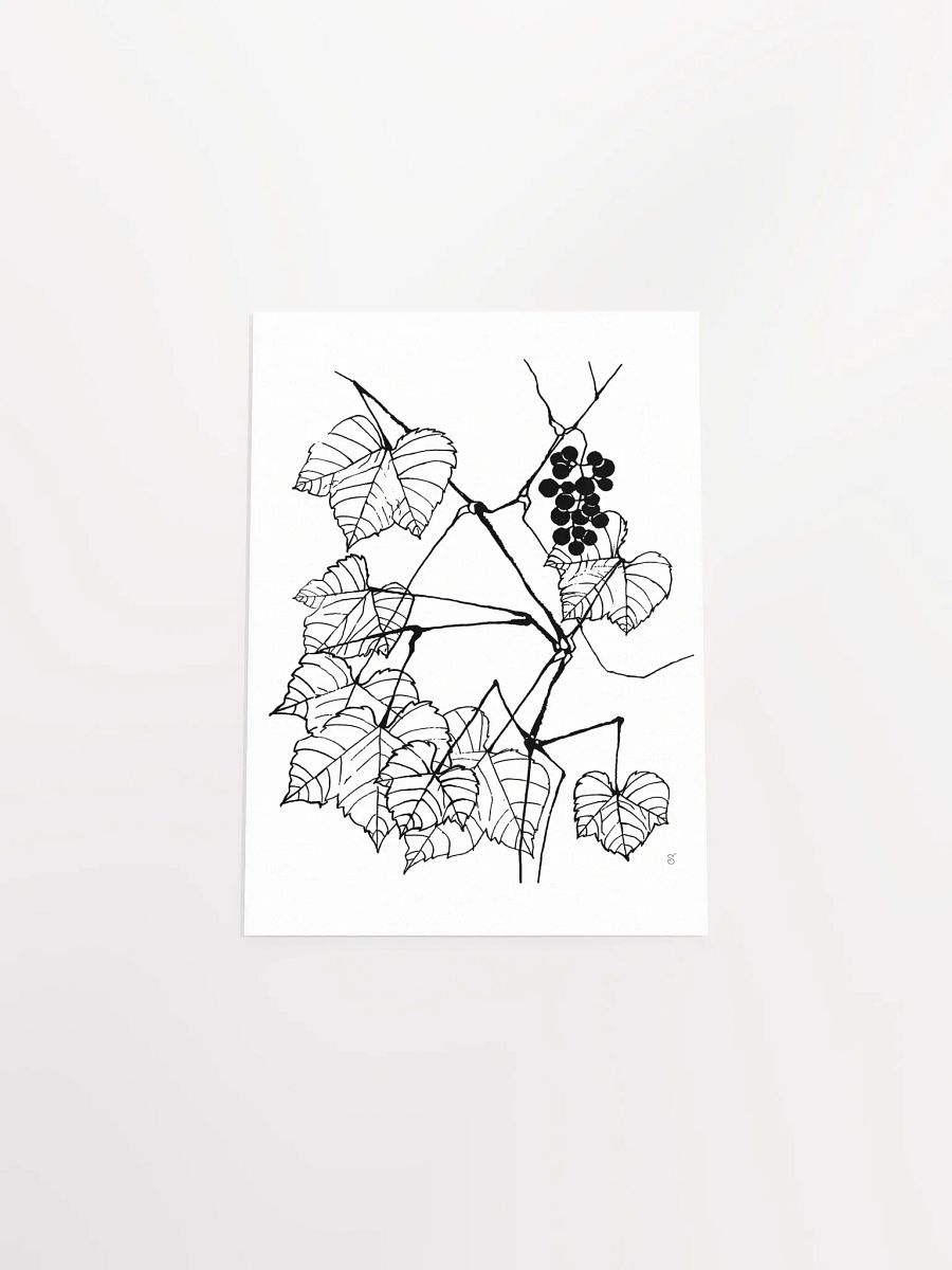 Enchanting Botanical Illustration Poster - Fine Grape Leaves product image (4)