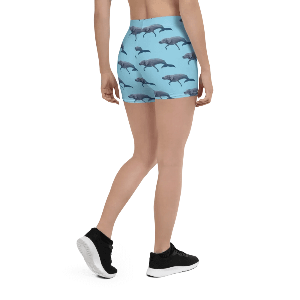 Whalemeriner Shorts product image (2)