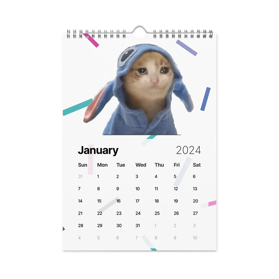 Wall Calendar (2024): Meme Cats product image (8)