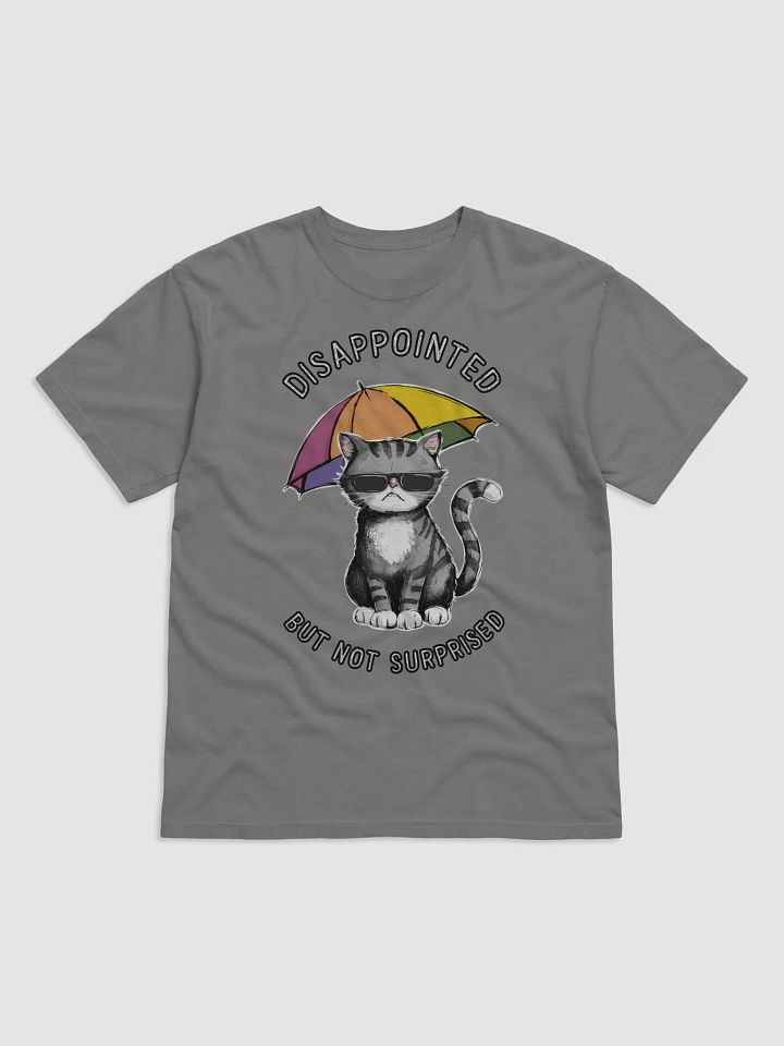 Disappointed Cat with Umbrella Art product image (1)