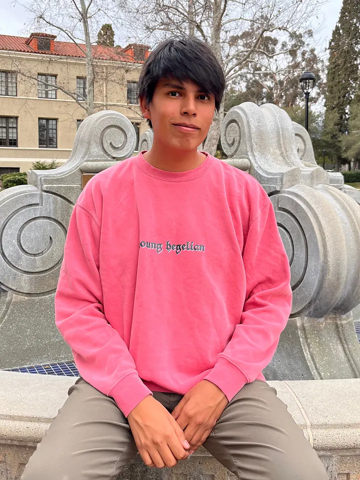 Young Hegelian Sweatshirt product image (2)