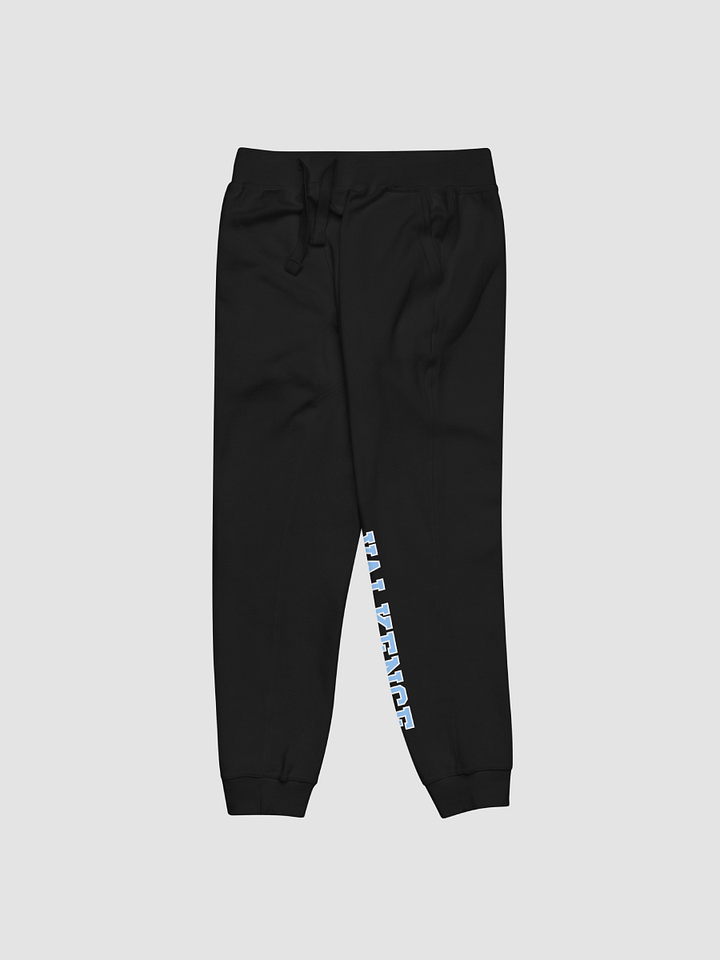 Varsity Sweatpants product image (2)