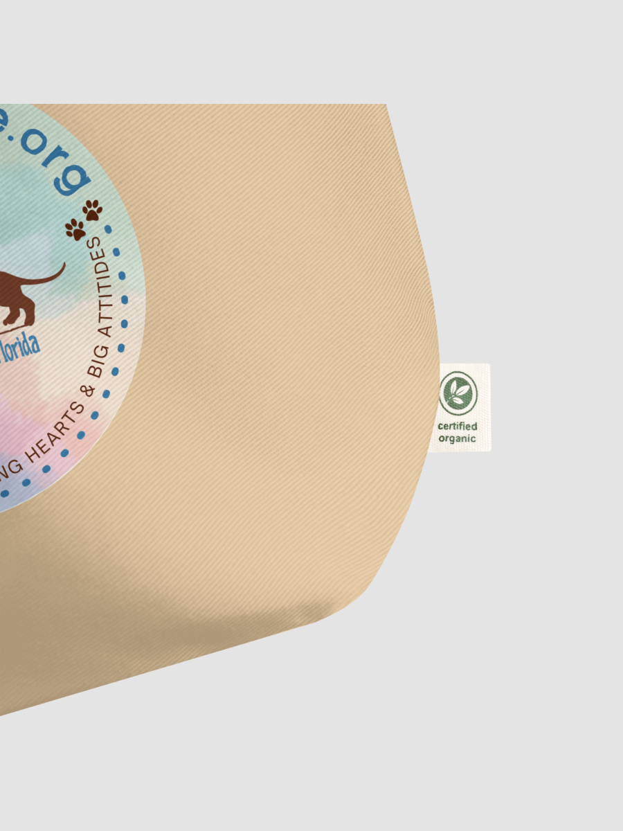 [LowRiderRescueFL] Large Eco Tote - Econscious EC8001 -2 product image (3)