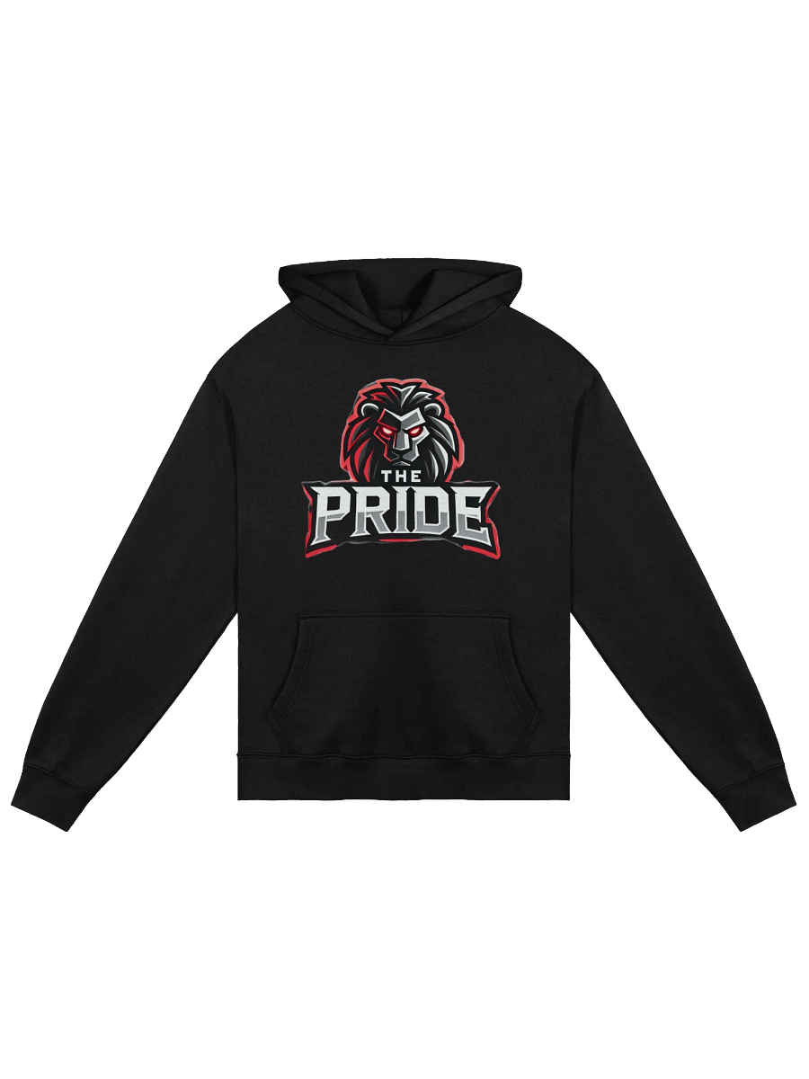 The Pride Hoodie product image (2)