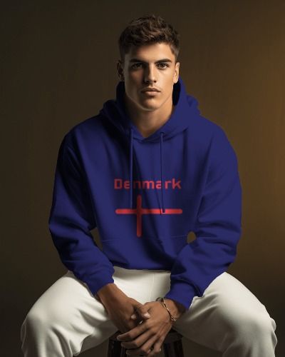 AS Colour Unisex Premium Oversized Hoodie Danish Pride product image (3)