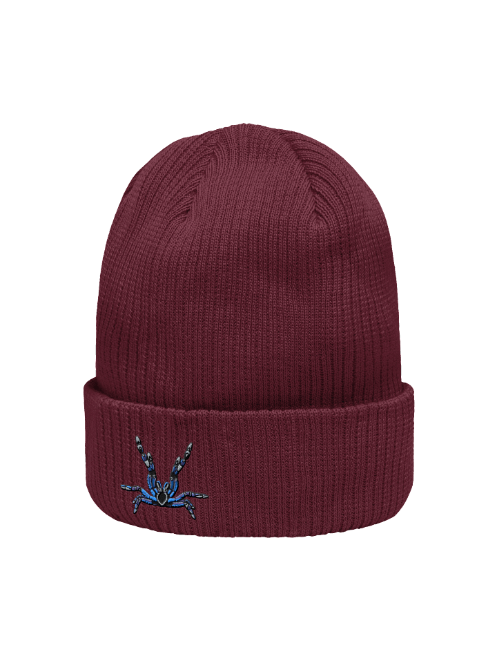 Poecilotheria Metallica Beanie product image (2)