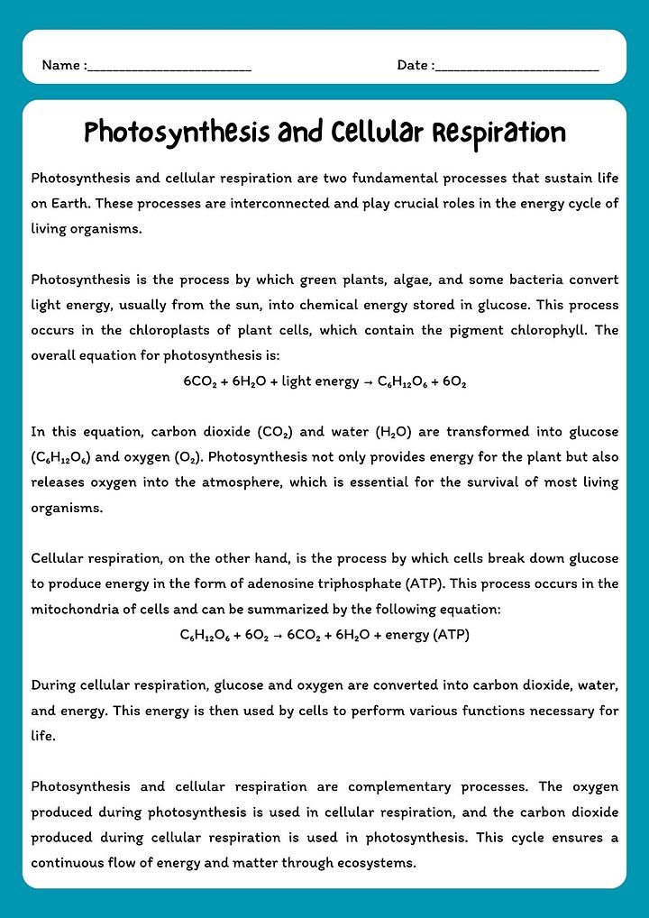 Photosynthesis and Cellular Respiration Reading Comprehension Passage with Questions product image (1)
