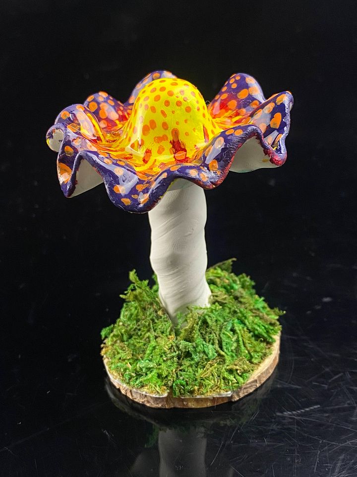 Sunburst Mushroom product image (2)