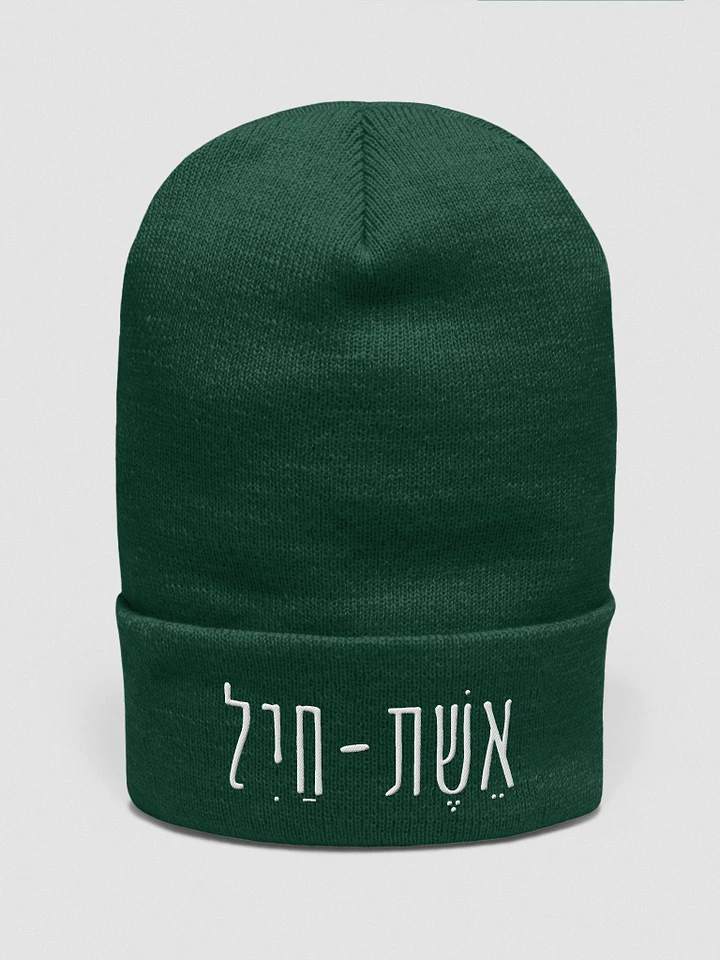 Eshet Chail Embroidered Beanie product image (27)