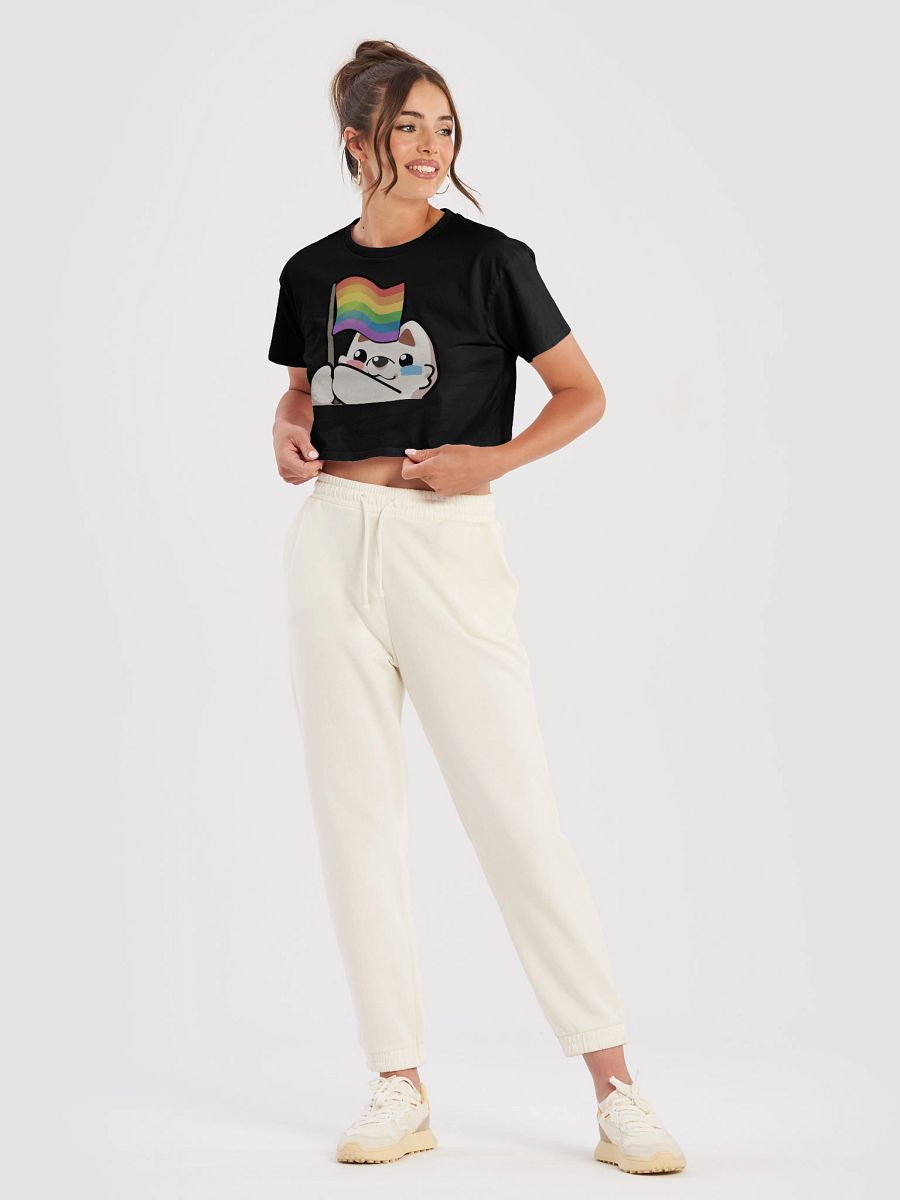 Rainbow Pride Flag Crop Top product image (32)
