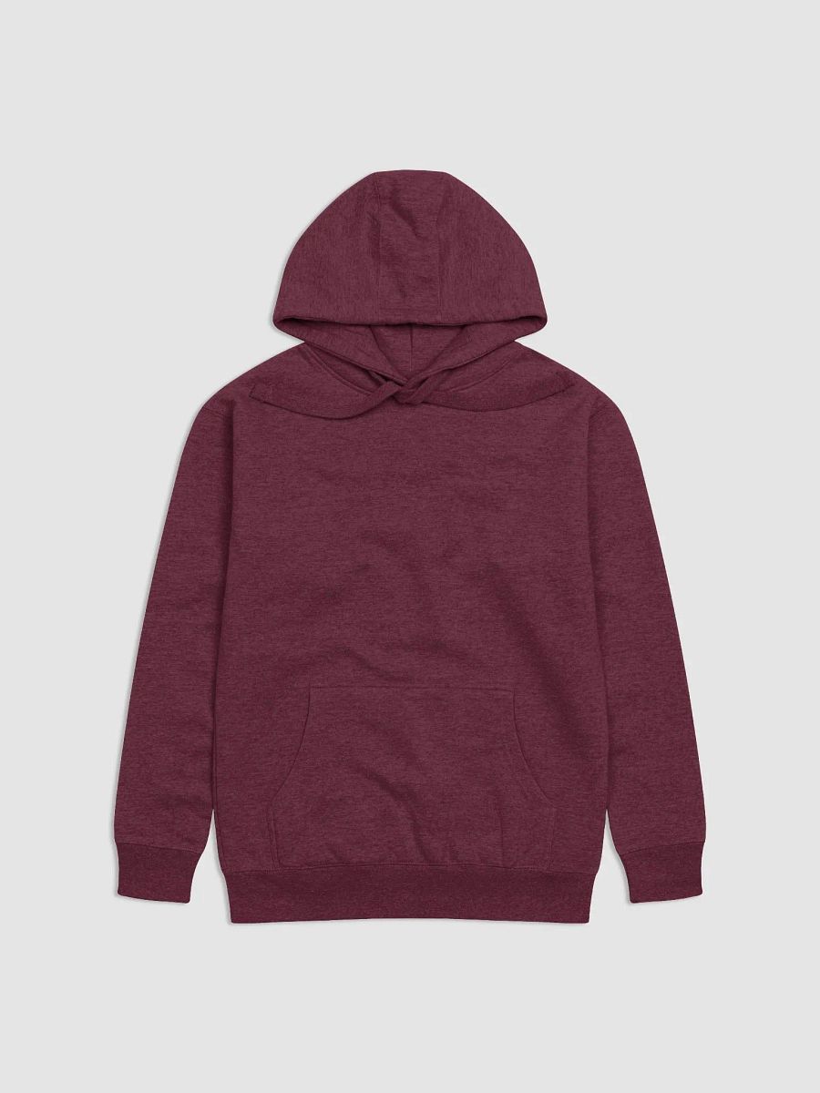 HOODIE - Baecon Bikini product image (3)