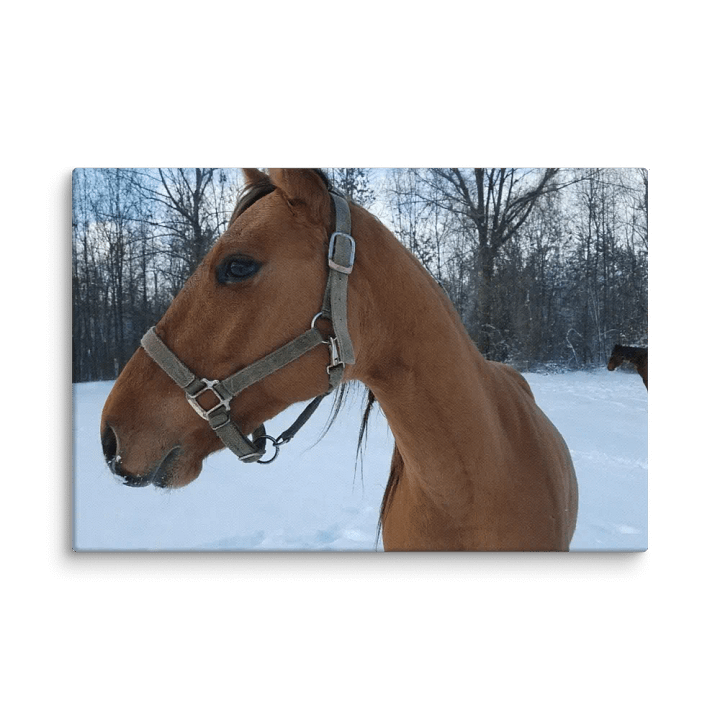 Winter Majesty Canvas product image (13)