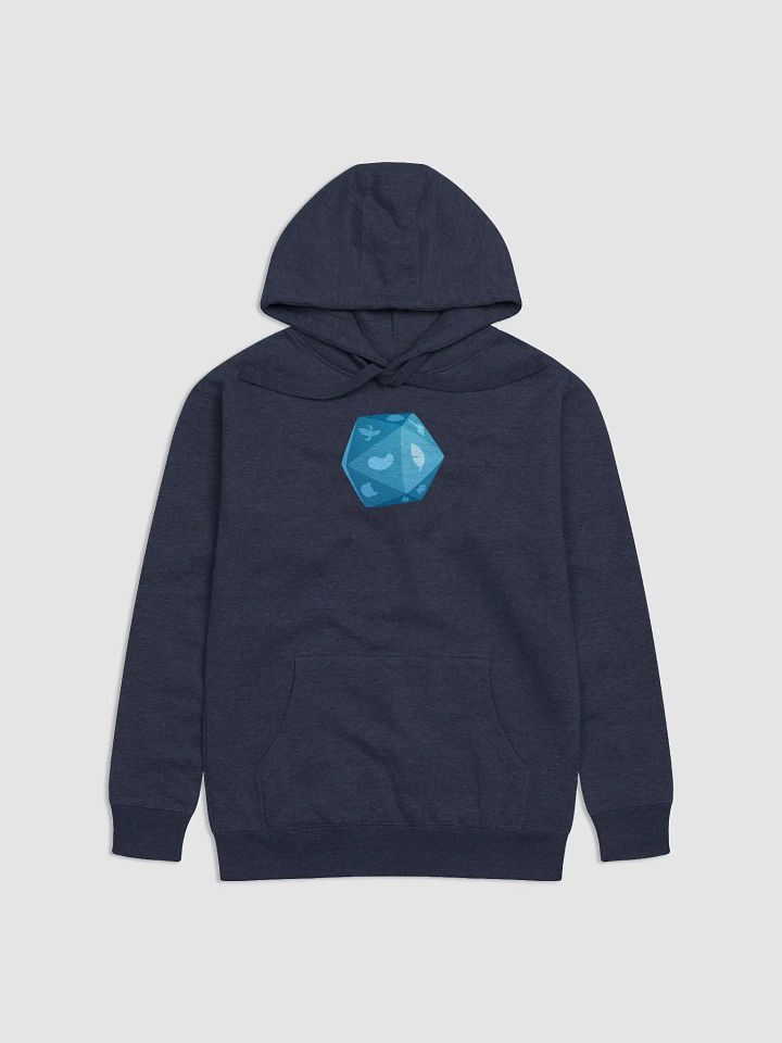 b20 - Briny Hoodie product image (2)