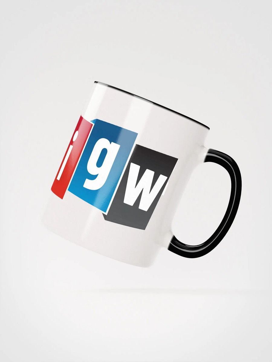 I GOT WRITES - mug product image (4)