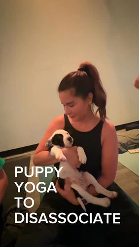 #puppyyoga #puppies #yoga #fyp @wolftrapanimalrescue @yogasix_ashburn