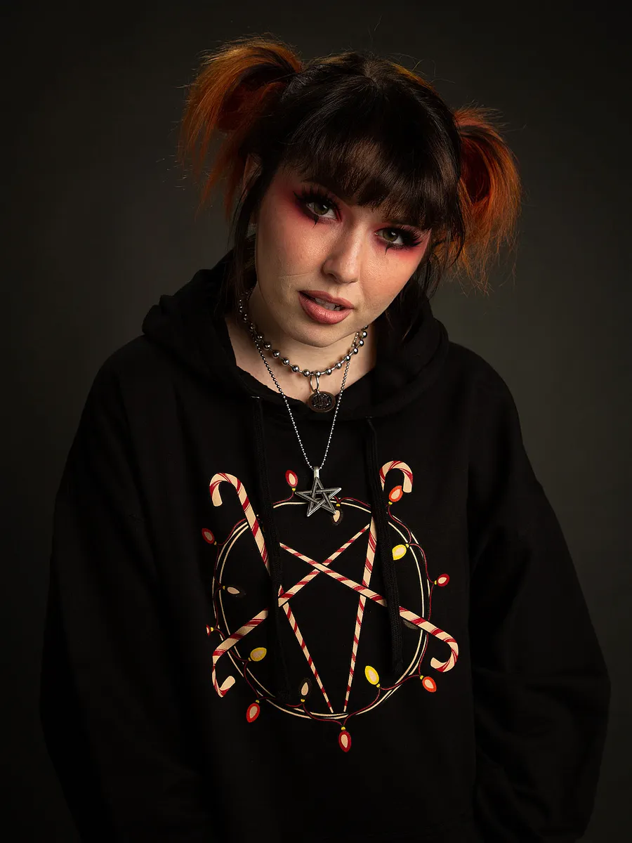 HAIL SANTA! - Hoodie product image (3)