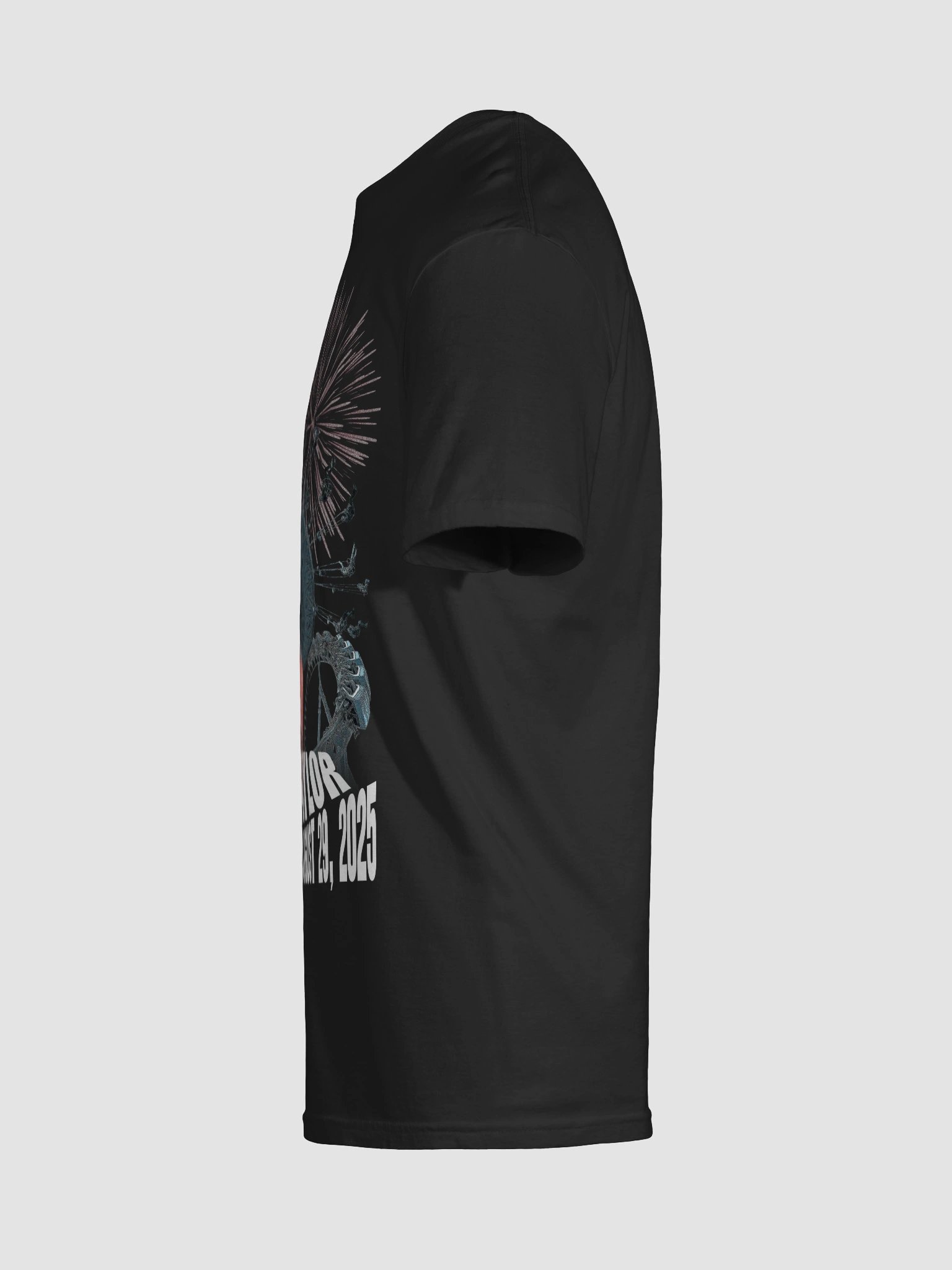 Sevier Co. Fair Tee product image (9)