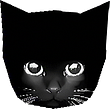SLUJ® — BRO THE CAT SHOP