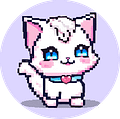 pocketkittyxo