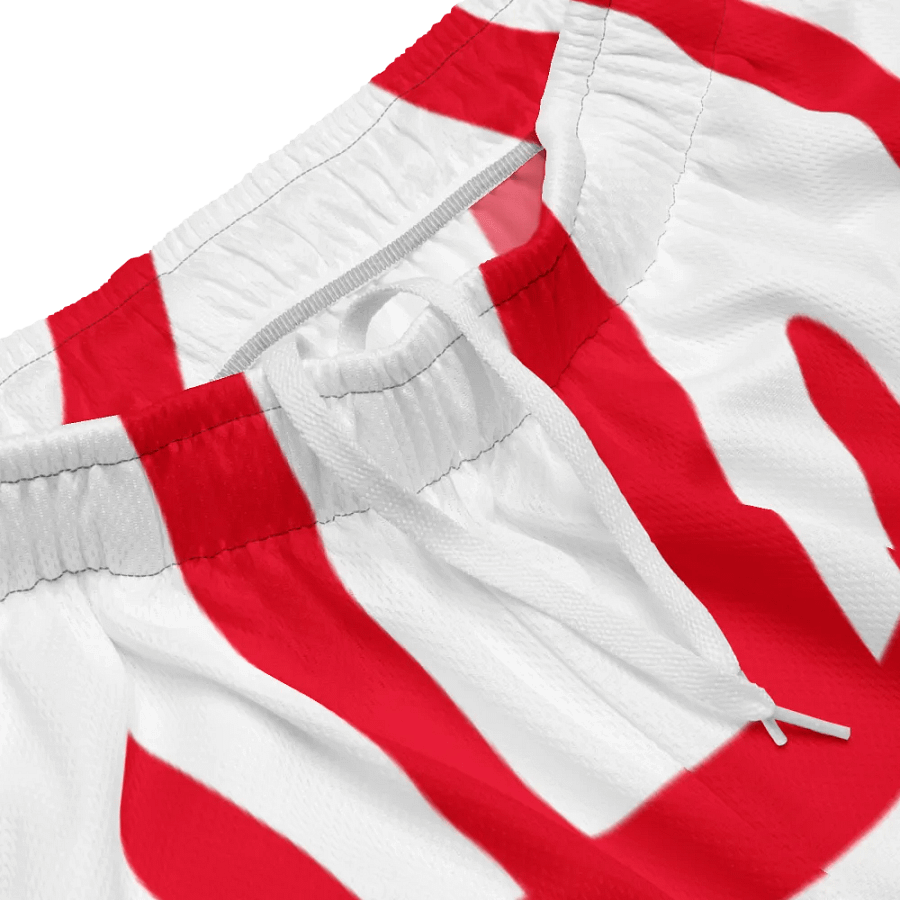 IFBNewsfeed.Org's All-Over Print Recycled Unisex Mesh Shorts product image (3)