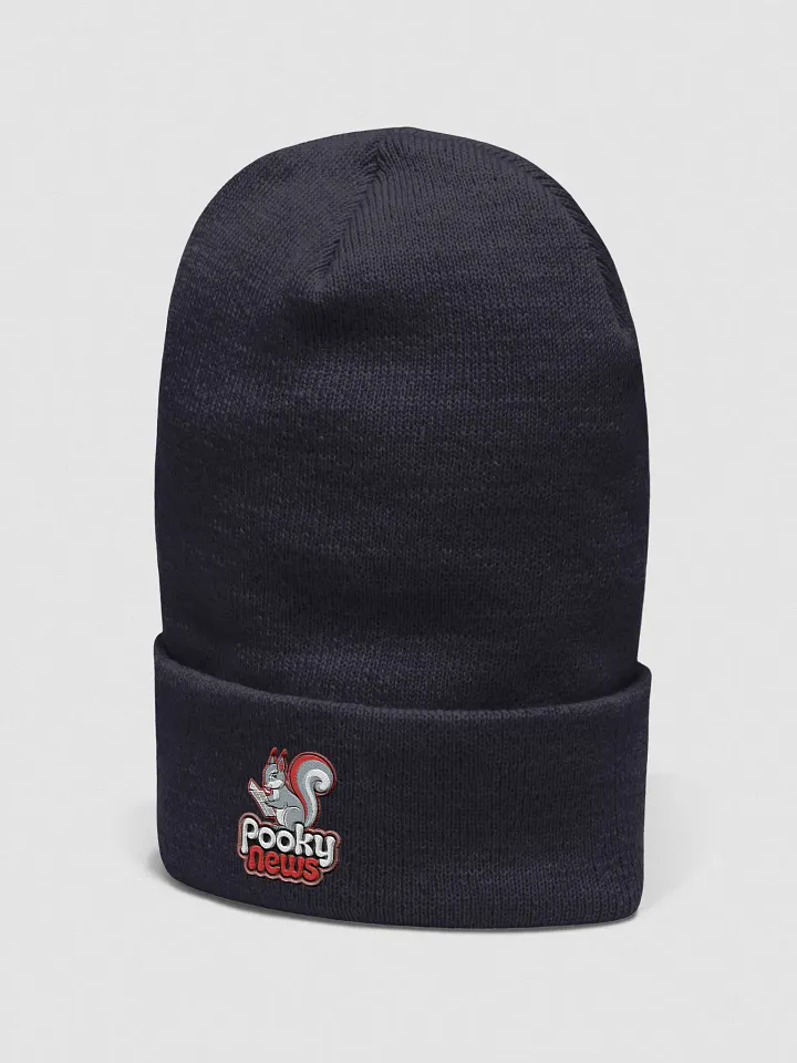 Pooky News Embroidered Beanie product image (2)