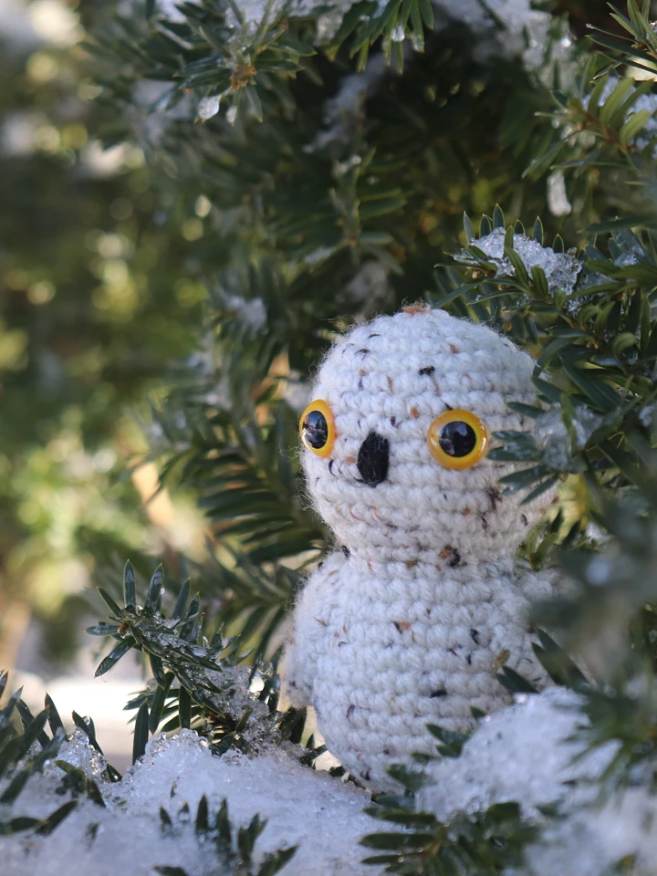Snowy Owl PDF product image (1)