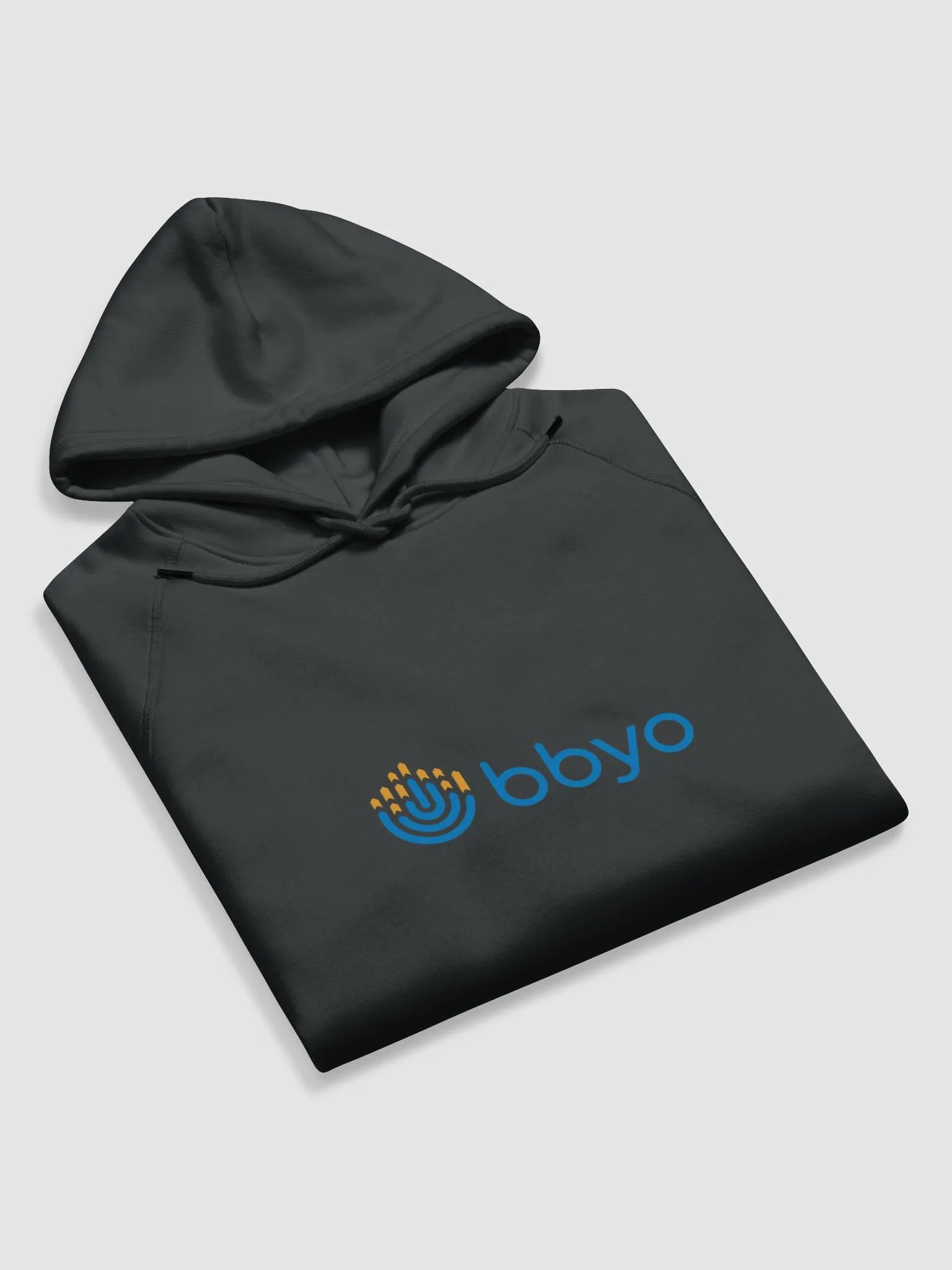 BBYO Hoodie product image (6)