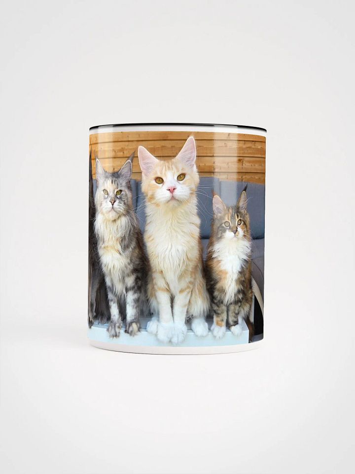4 Generations - Mug With Color product image (2)