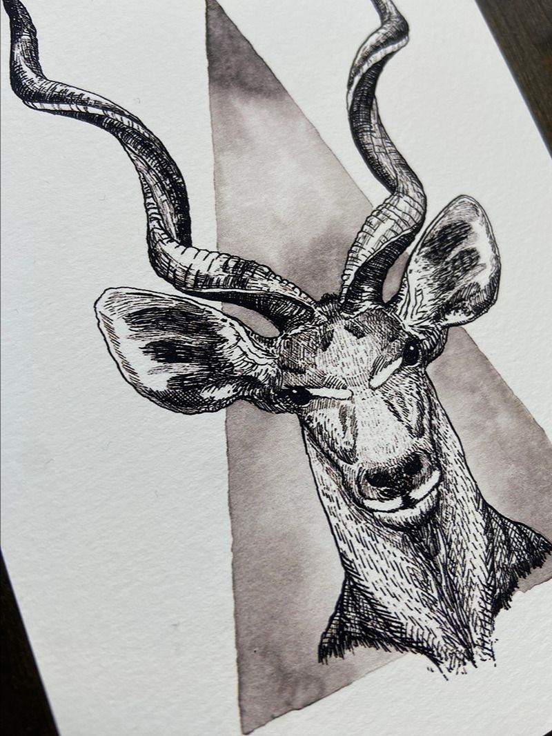 print : kudu product image (2)